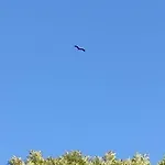 Domaine Des Cerisiers - Piste Cyclable & Parking Prive