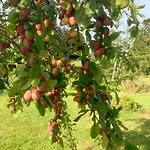 Domaine Des Cerisiers - Piste Cyclable & Parking Prive Berville-sur-Mer