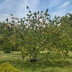 Domaine Des Cerisiers - Piste Cyclable & Parking Prive Σπίτι διακοπών