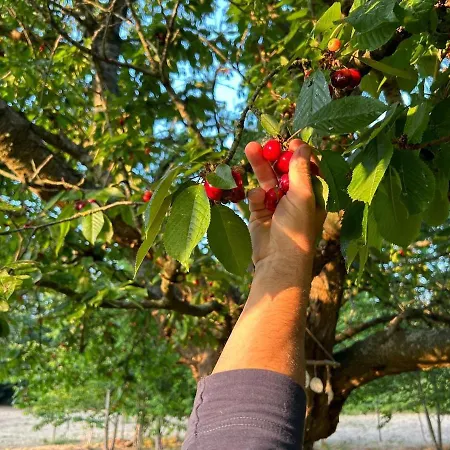 Ferienhaus Domaine Des Cerisiers - Piste Cyclable & Parking Prive *