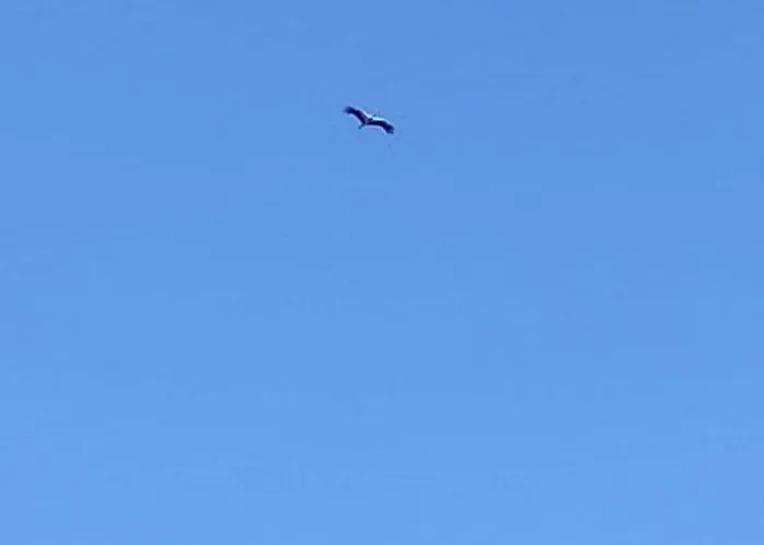 Domaine Des Cerisiers - Piste Cyclable & Parking Prive