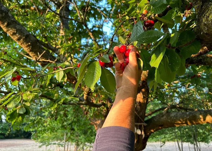 Ferienhaus Domaine Des Cerisiers - Piste Cyclable & Parking Prive *