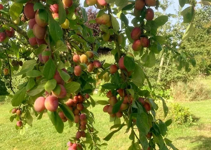 Domaine Des Cerisiers - Piste Cyclable & Parking Prive Berville-sur-Mer