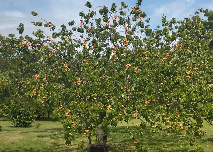 Domaine Des Cerisiers - Piste Cyclable & Parking Prive Ferienhaus
